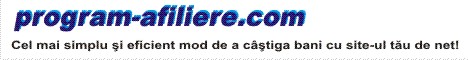 castiga bani cu site-ul tau de net